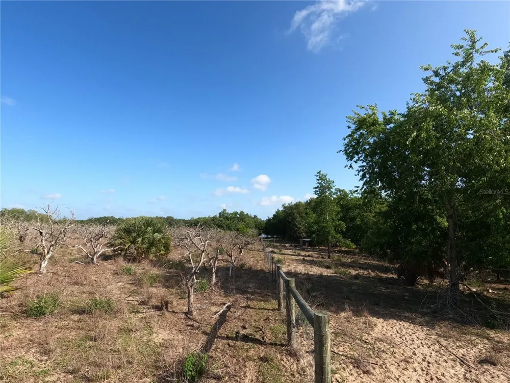 0 EARTH STAR LANE Groveland, FL 34736