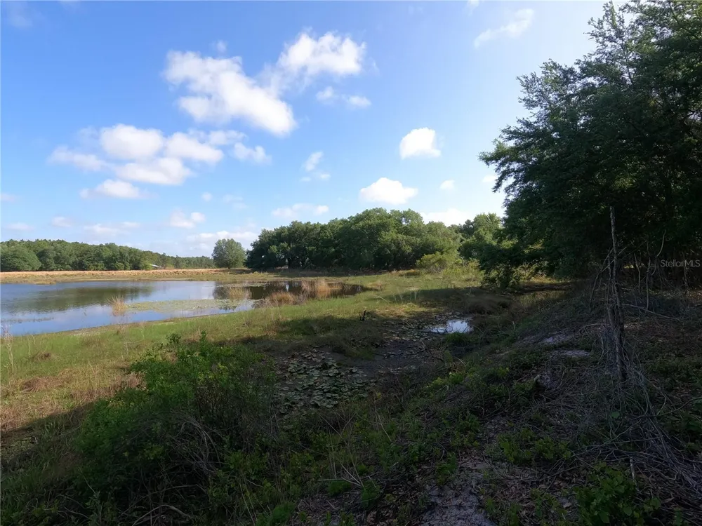 0 EARTH STAR LANE Groveland, FL 34736