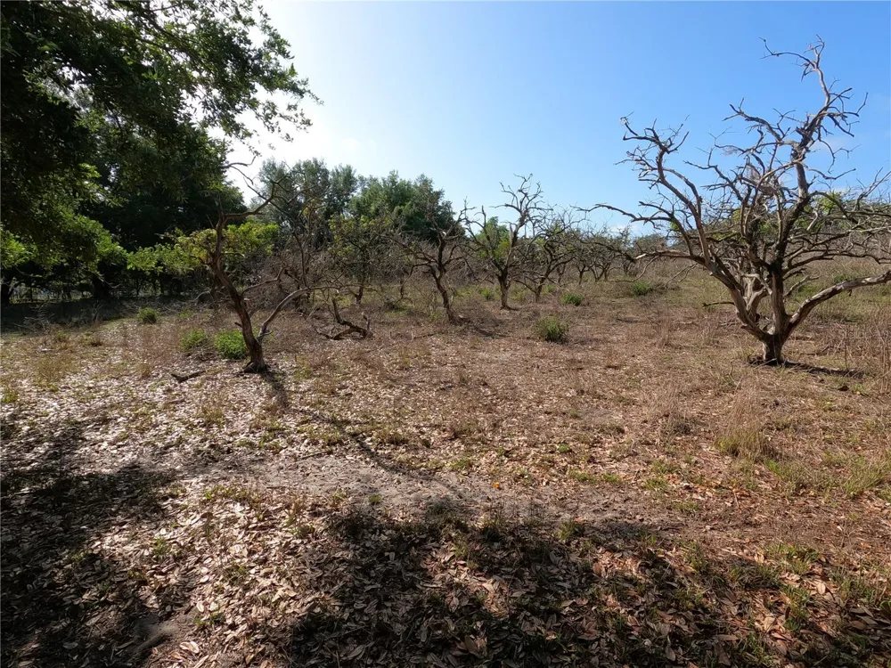 0 EARTH STAR LANE Groveland, FL 34736