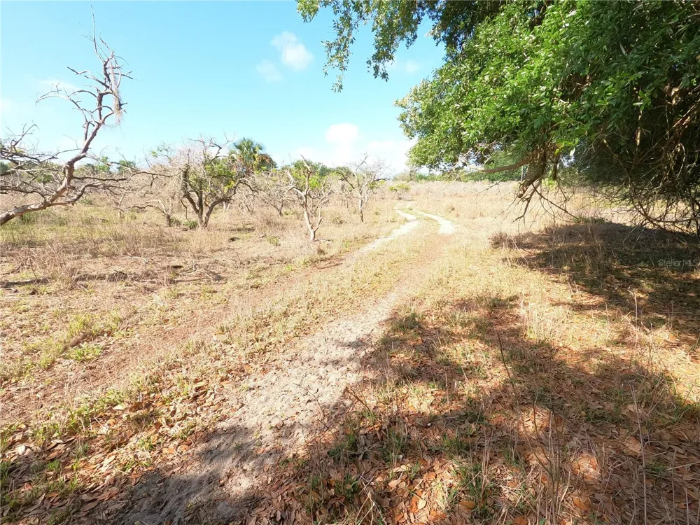 0 EARTH STAR LANE Groveland, FL 34736