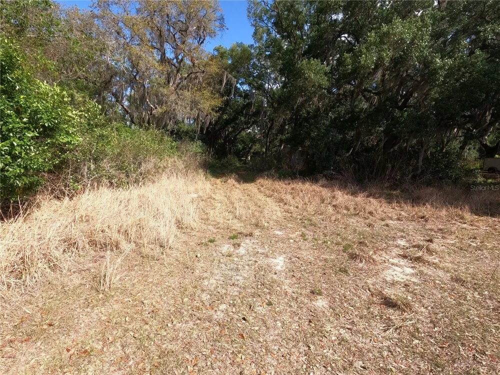 0 EARTH STAR LANE Groveland, FL 34736
