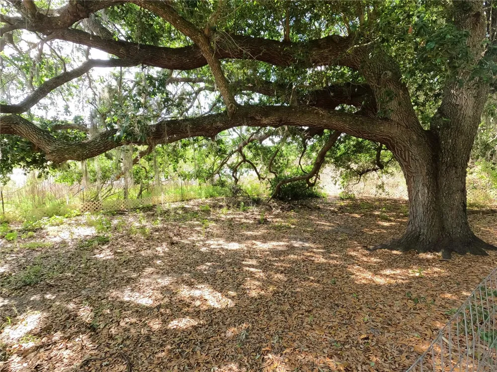 0 EARTH STAR LANE Groveland, FL 34736