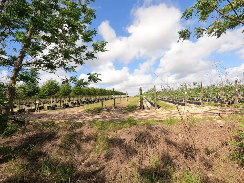 0 EARTH STAR LANE Groveland, FL 34736
