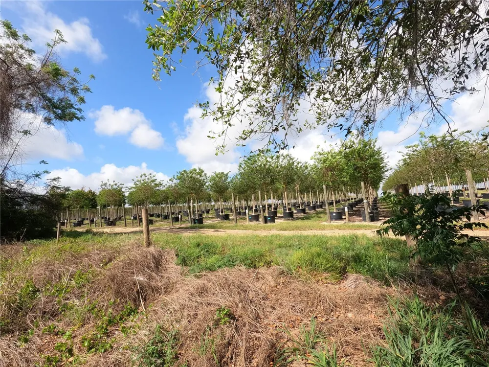0 EARTH STAR LANE Groveland, FL 34736