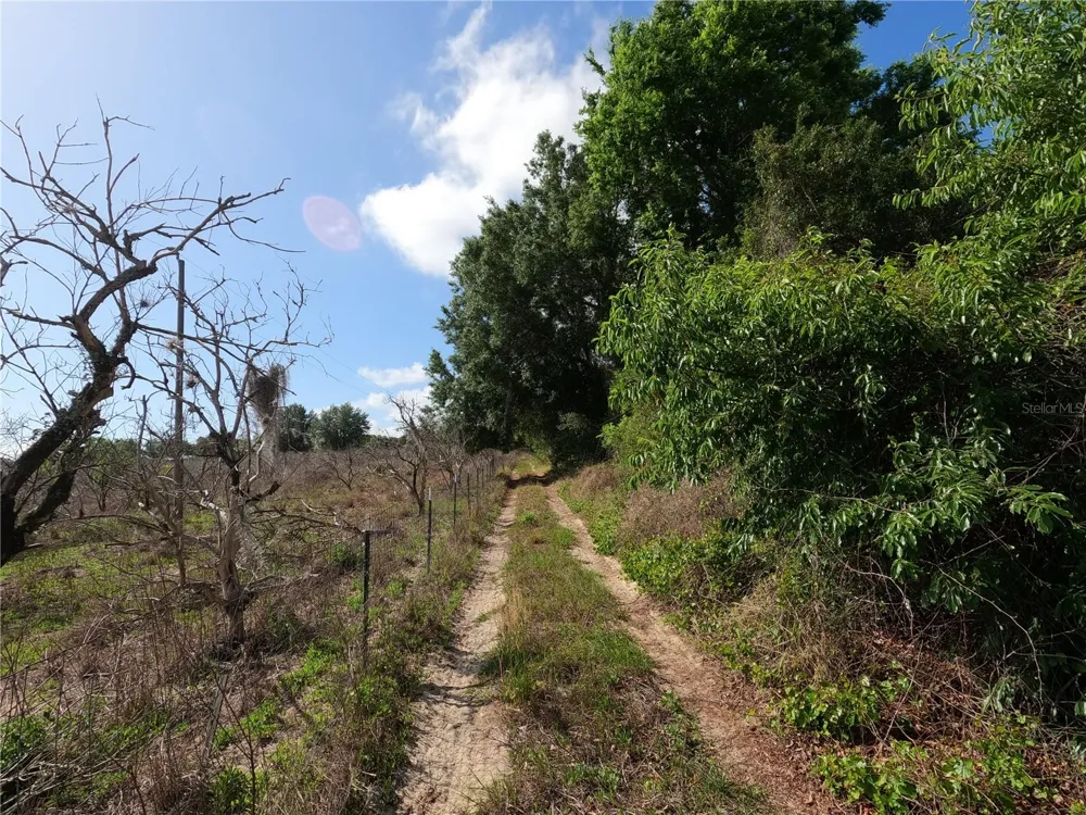 0 EARTH STAR LANE Groveland, FL 34736