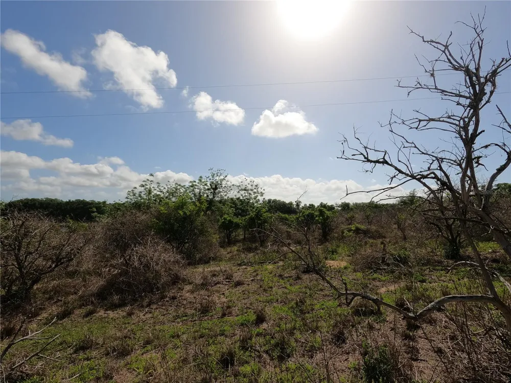 0 EARTH STAR LANE Groveland, FL 34736