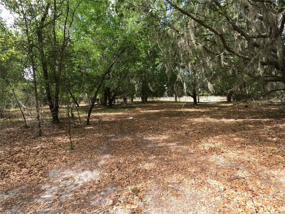 0 EARTH STAR LANE Groveland, FL 34736