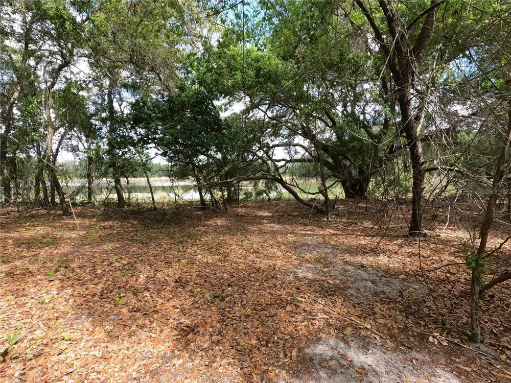 0 EARTH STAR LANE Groveland, FL 34736