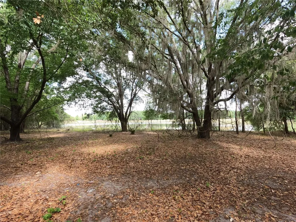 0 EARTH STAR LANE Groveland, FL 34736