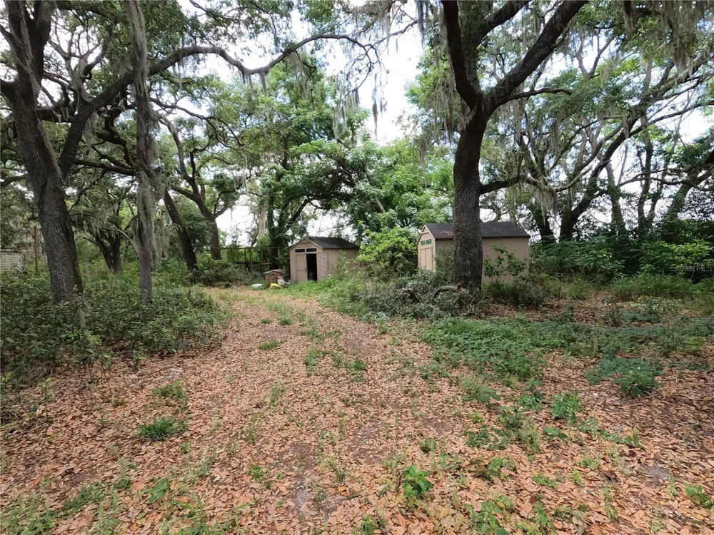 0 EARTH STAR LANE Groveland, FL 34736