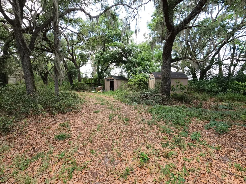 0 EARTH STAR LANE Groveland, FL 34736