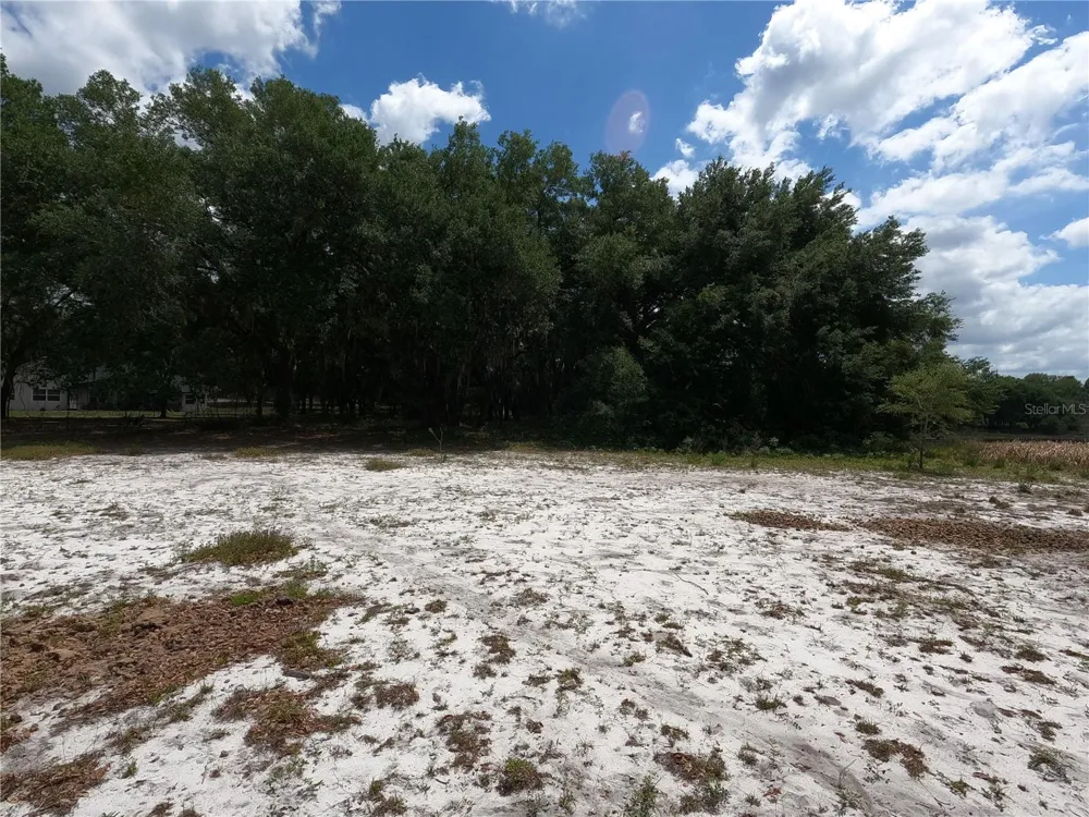 0 EARTH STAR LANE Groveland, FL 34736