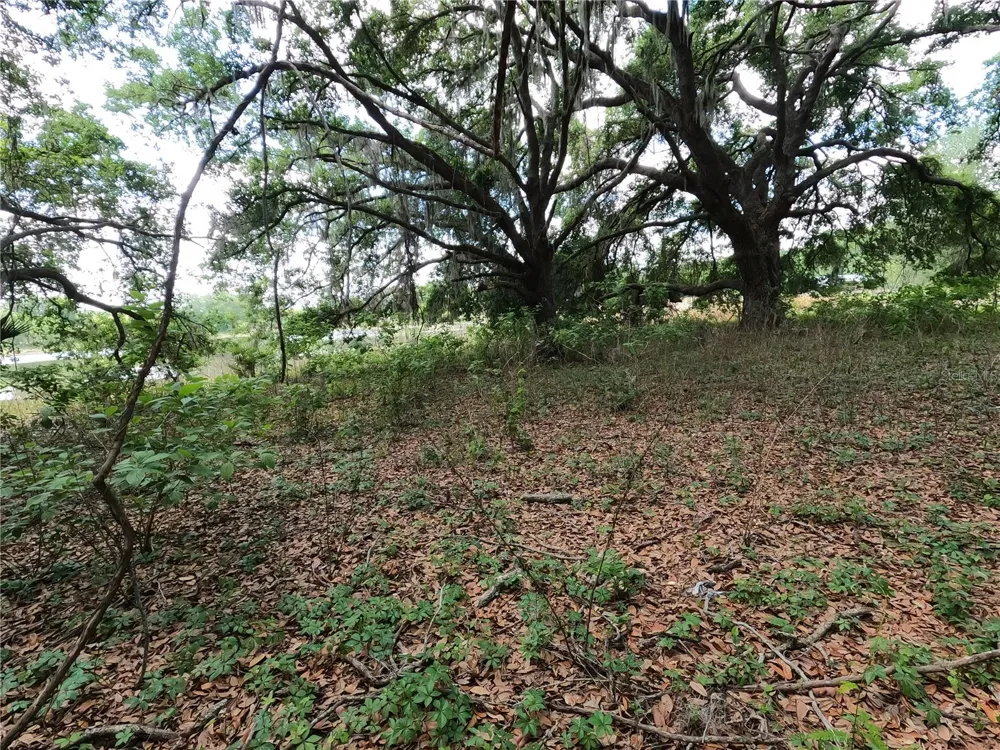 0 EARTH STAR LANE Groveland, FL 34736
