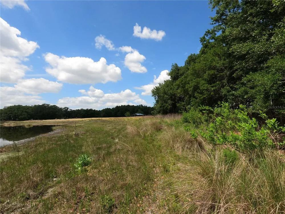 0 EARTH STAR LANE Groveland, FL 34736