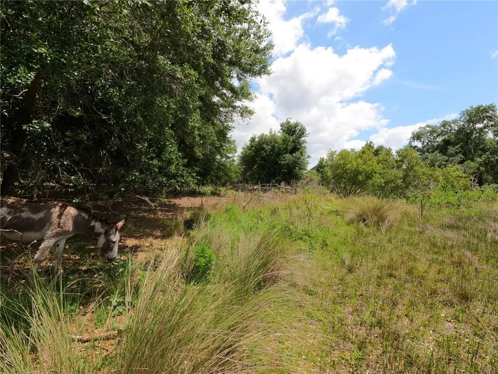 0 EARTH STAR LANE Groveland, FL 34736