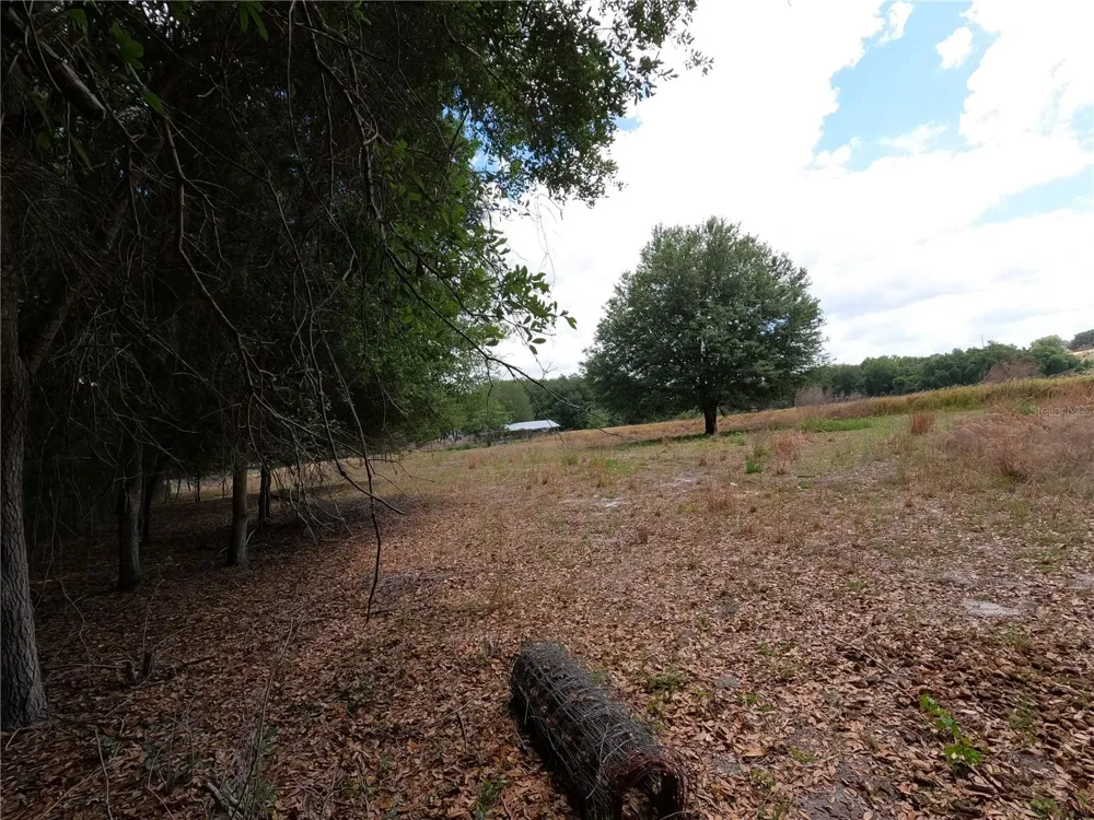 0 EARTH STAR LANE Groveland, FL 34736
