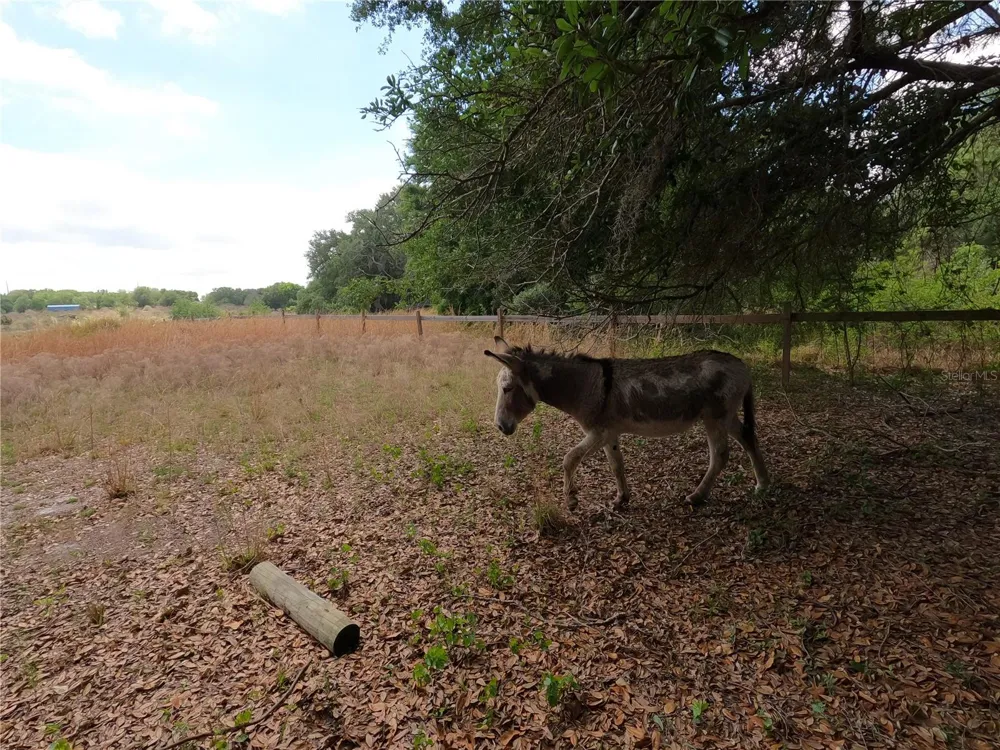0 EARTH STAR LANE Groveland, FL 34736
