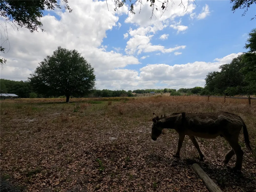 0 EARTH STAR LANE Groveland, FL 34736