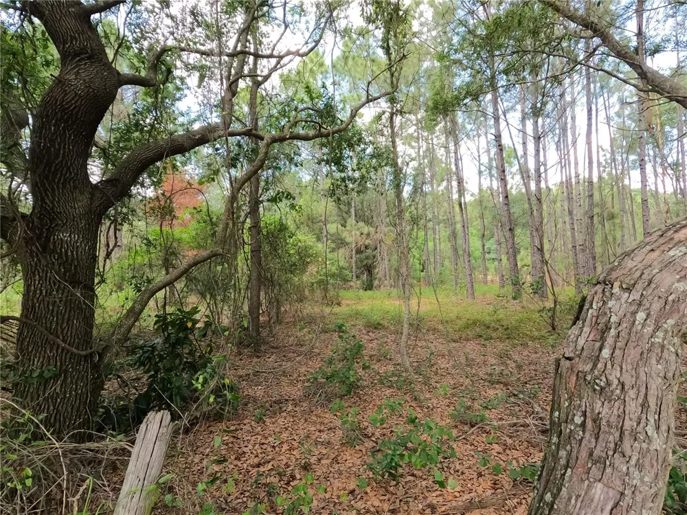 0 EARTH STAR LANE Groveland, FL 34736