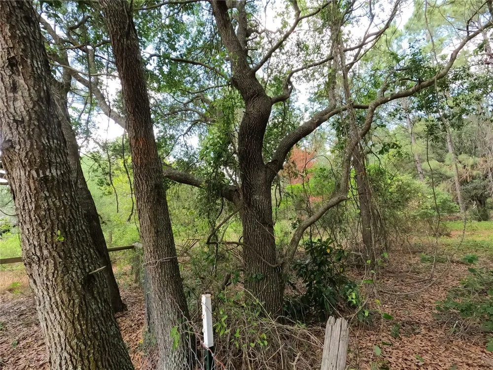 0 EARTH STAR LANE Groveland, FL 34736