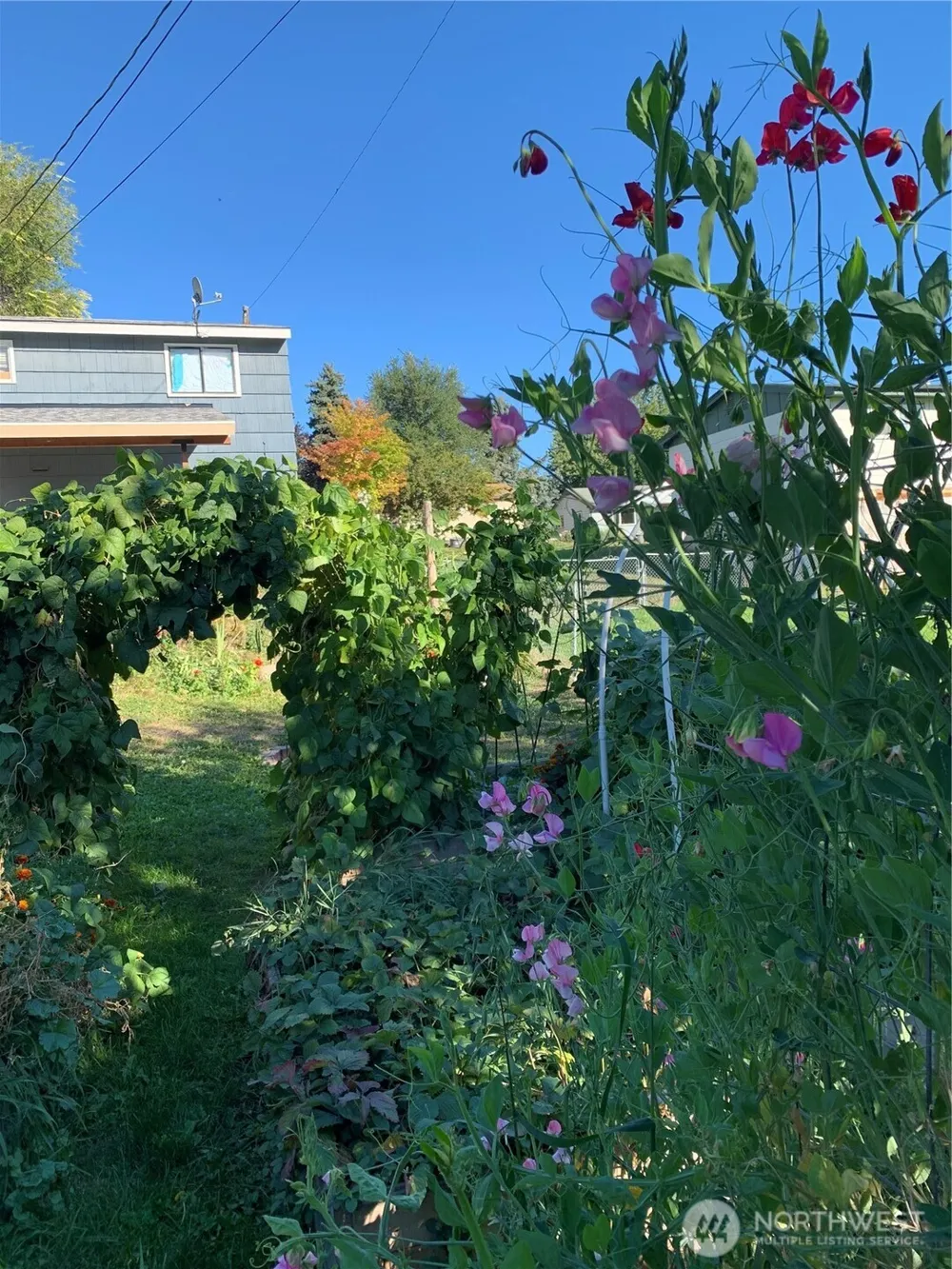 124 Crestview Drive Colville, WA 99114