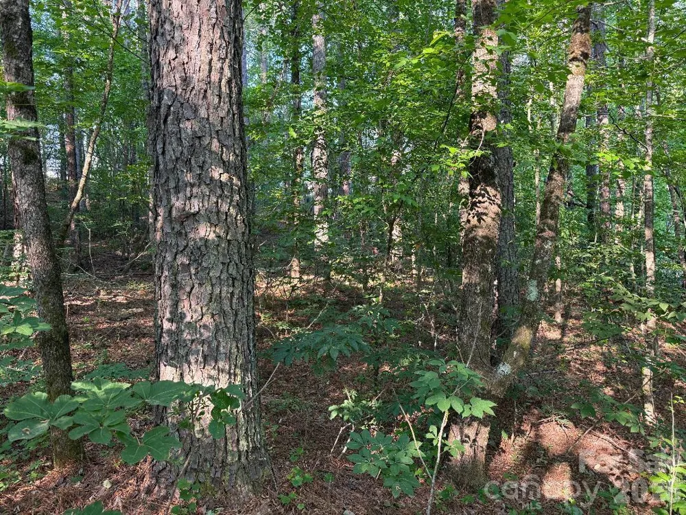 3249 Sherman Drive Lancaster, SC 29720