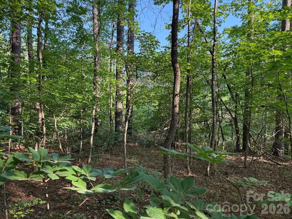 3249 Sherman Drive Lancaster, SC 29720
