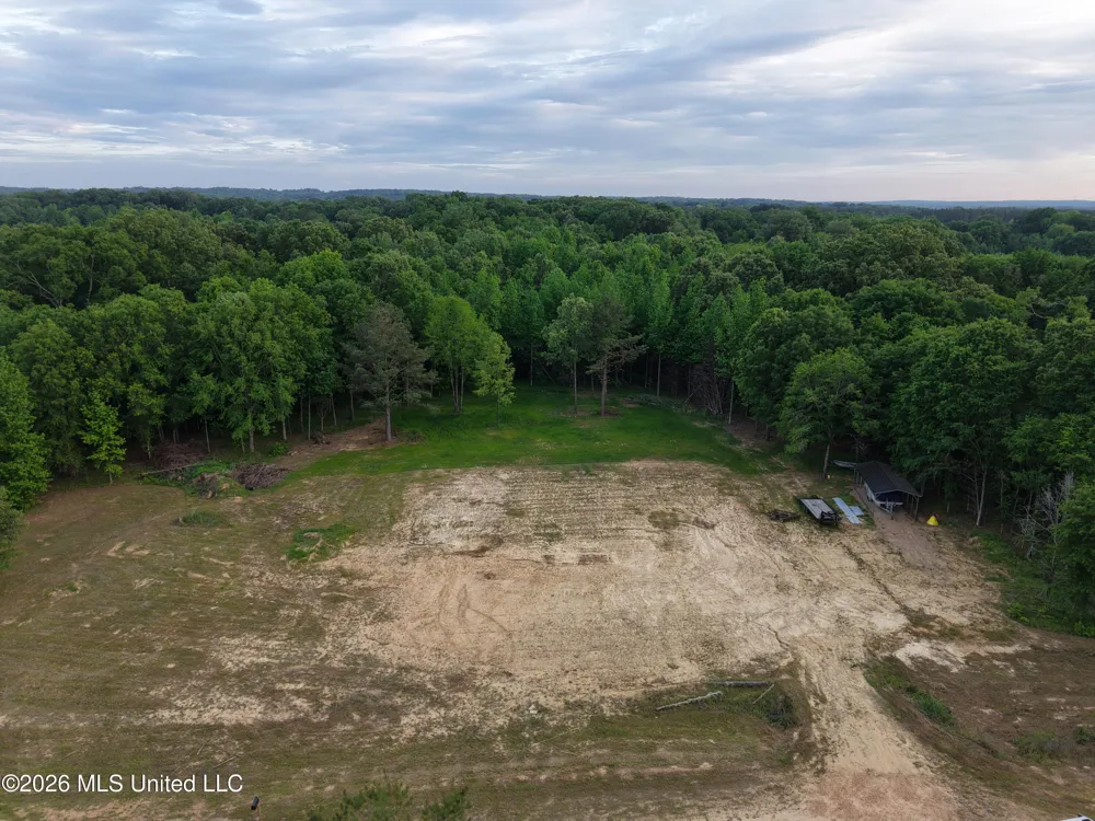 183 Central Boulevard Flora, MS 39071