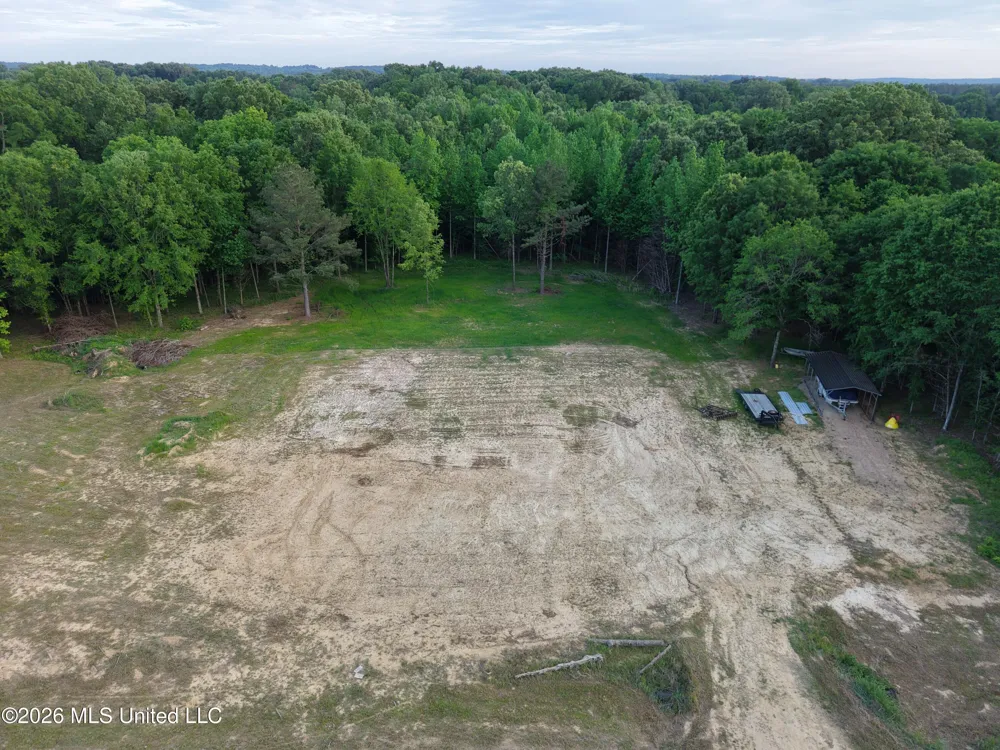 183 Central Boulevard Flora, MS 39071