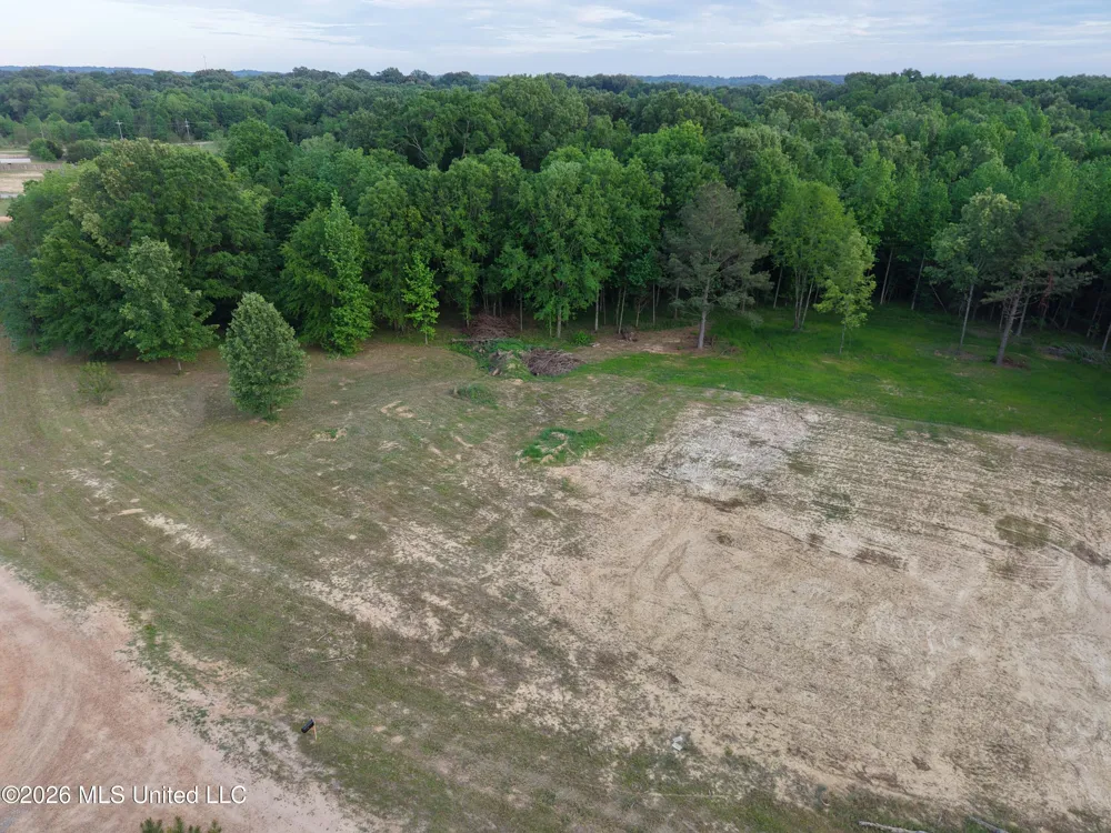 183 Central Boulevard Flora, MS 39071