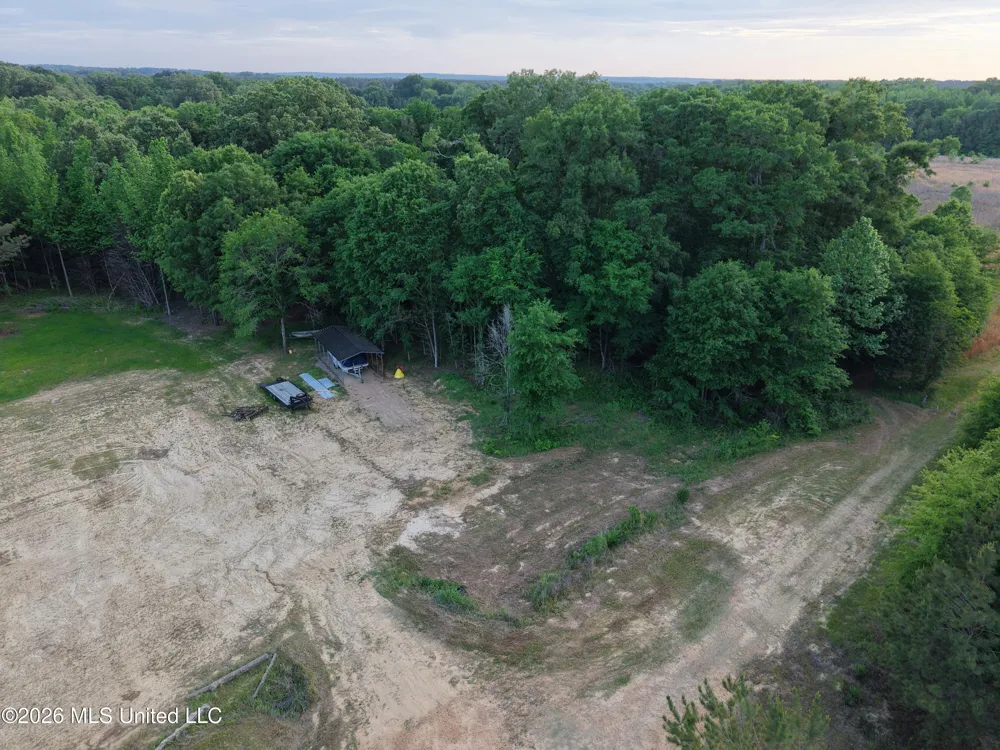 183 Central Boulevard Flora, MS 39071