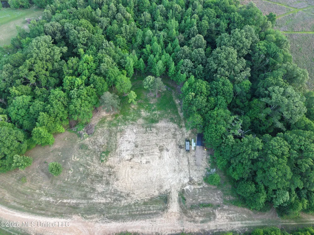 183 Central Boulevard Flora, MS 39071