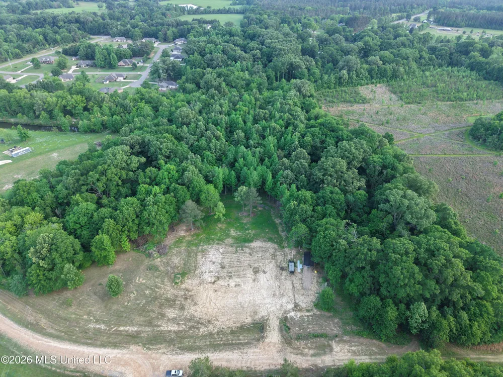 183 Central Boulevard Flora, MS 39071