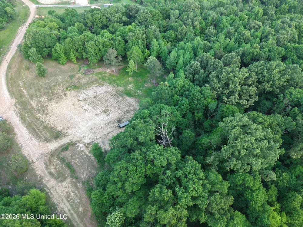 183 Central Boulevard Flora, MS 39071
