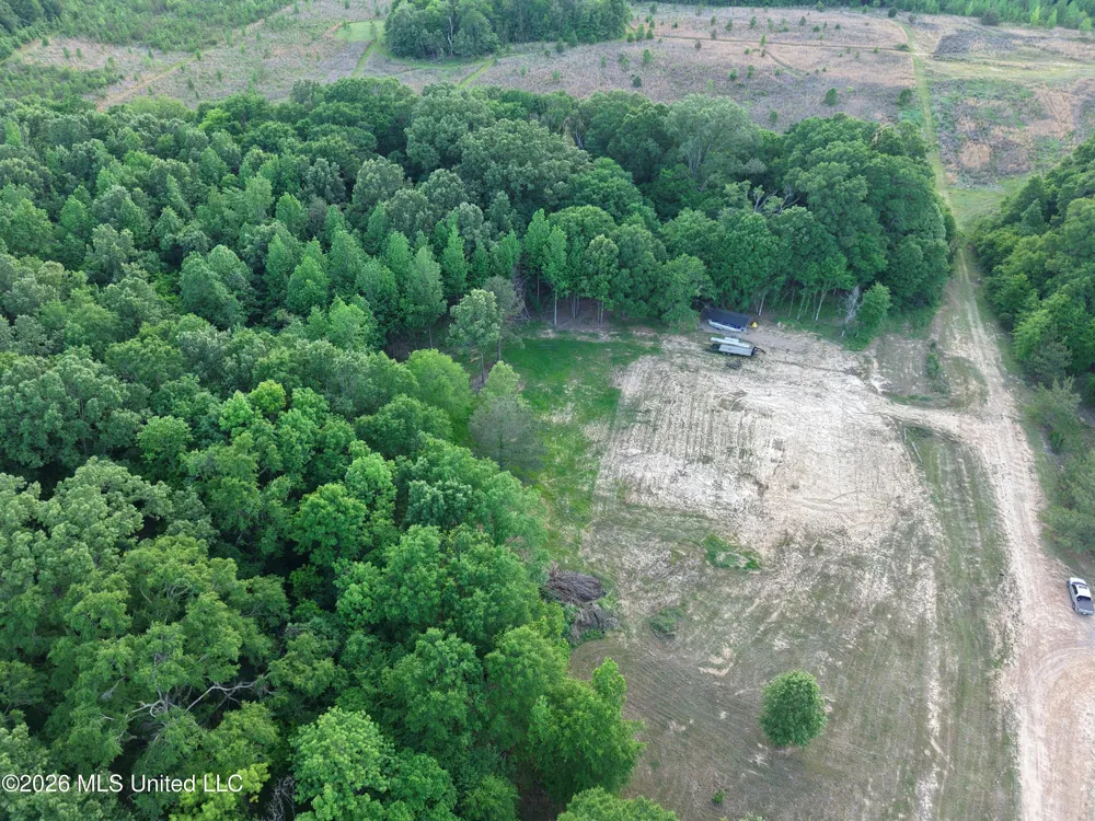 183 Central Boulevard Flora, MS 39071