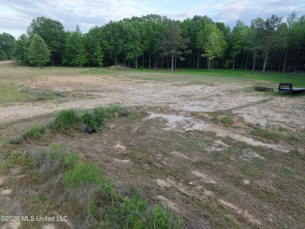 183 Central Boulevard Flora, MS 39071