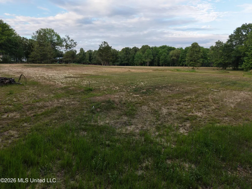 183 Central Boulevard Flora, MS 39071
