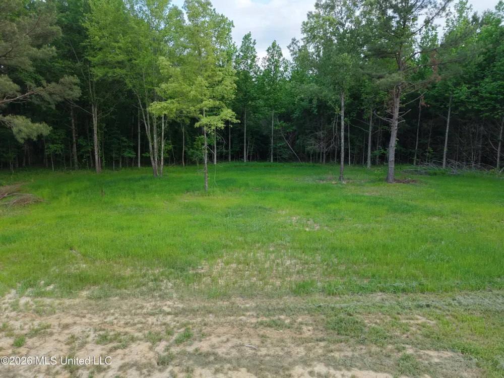 183 Central Boulevard Flora, MS 39071
