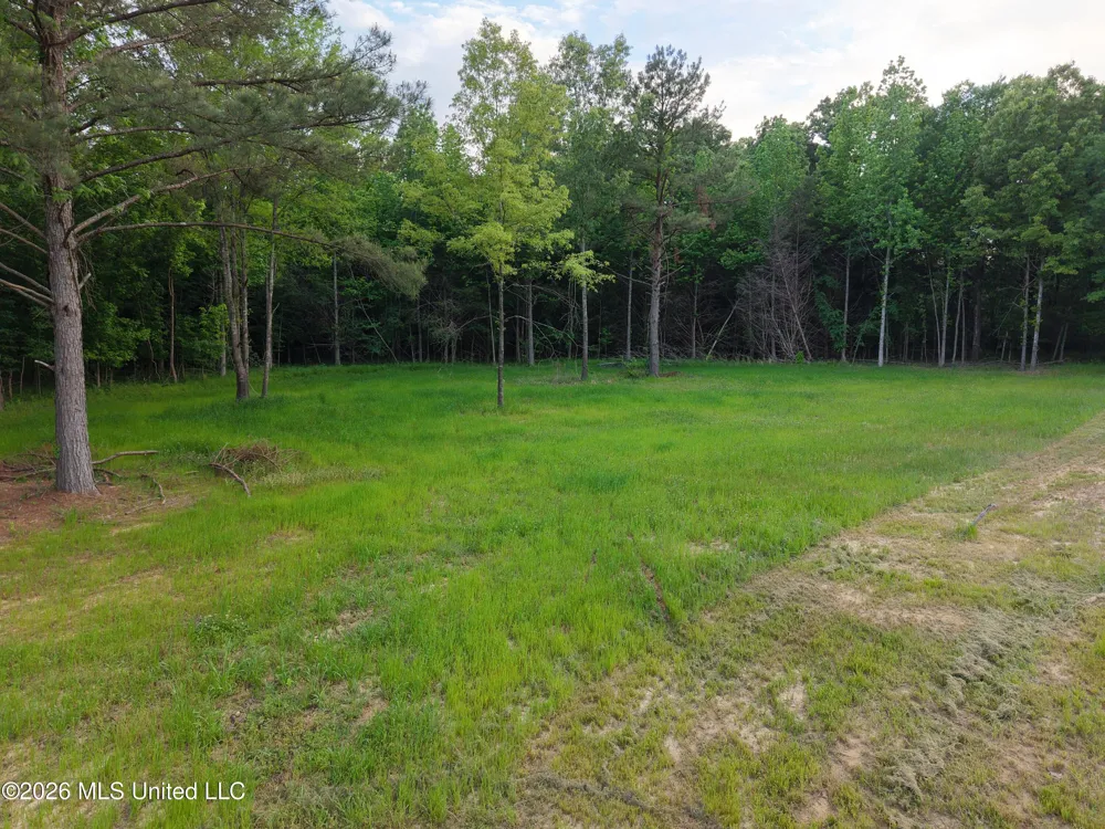 183 Central Boulevard Flora, MS 39071