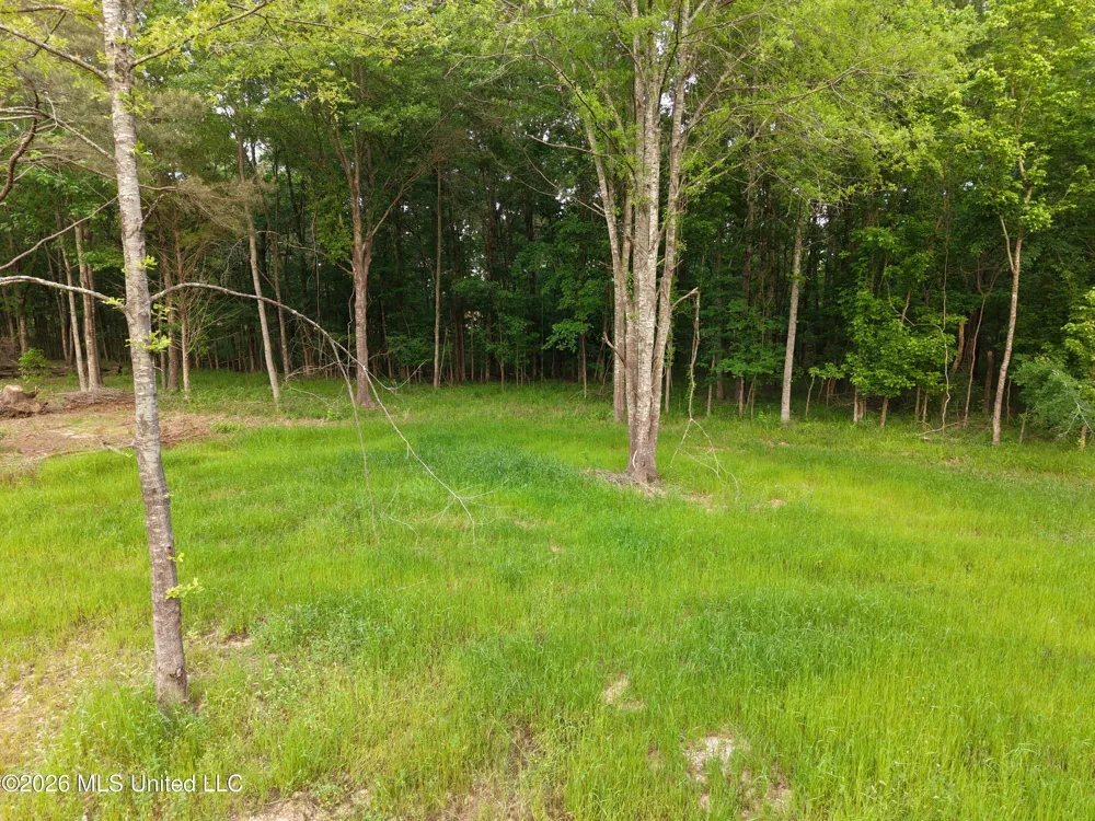 183 Central Boulevard Flora, MS 39071