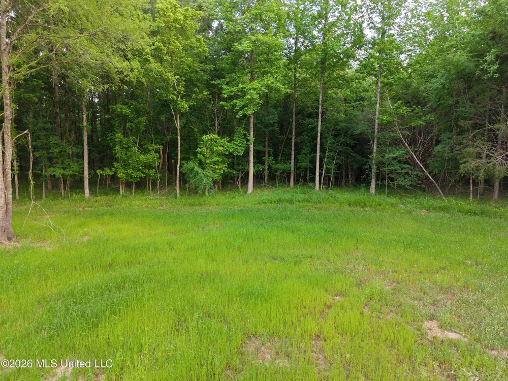183 Central Boulevard Flora, MS 39071