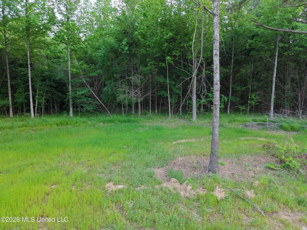 183 Central Boulevard Flora, MS 39071