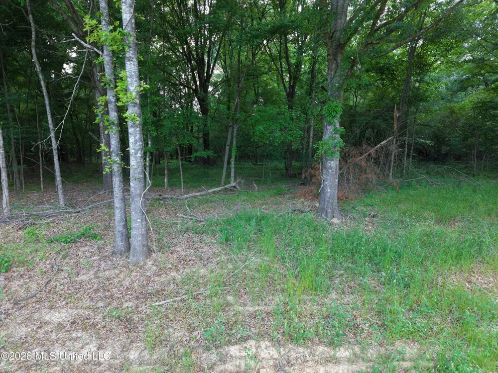183 Central Boulevard Flora, MS 39071