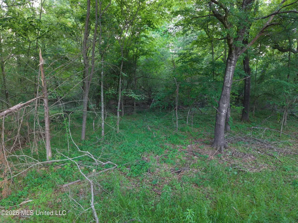 183 Central Boulevard Flora, MS 39071