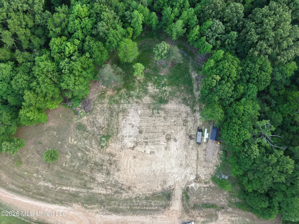 183 Central Boulevard Flora, MS 39071