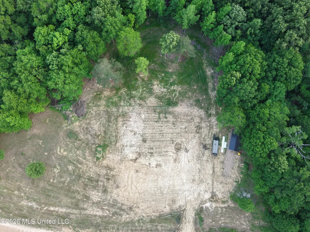 183 Central Boulevard Flora, MS 39071