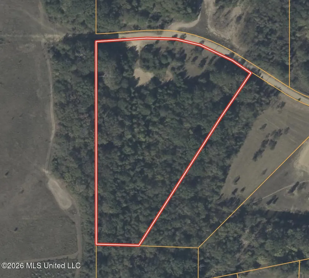 183 Central Boulevard Flora, MS 39071