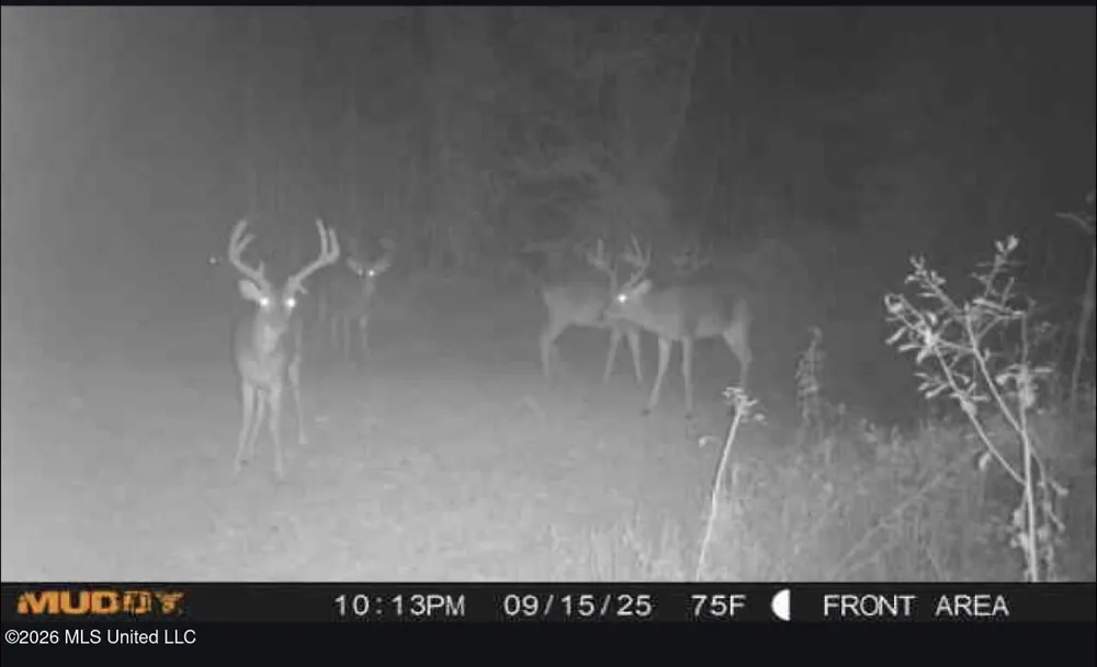 183 Central Boulevard Flora, MS 39071