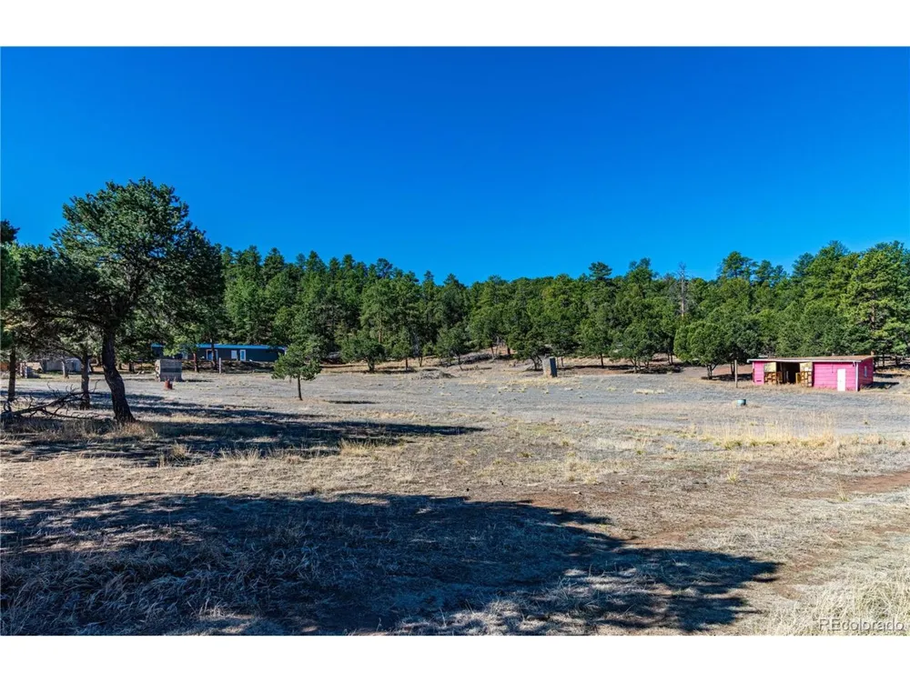 987 14th Trail Cotopaxi, CO 81223