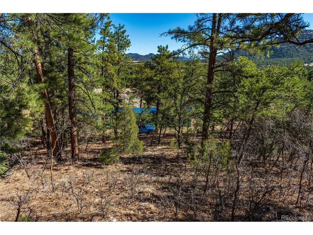 987 14th Trail Cotopaxi, CO 81223